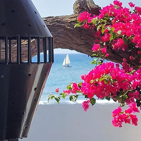 Loro Verde Playa Honda  Εξωτερικό φωτογραφία