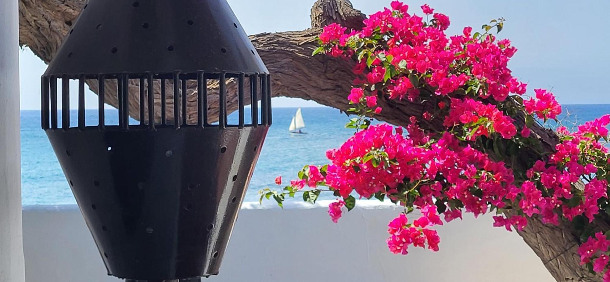 Loro Verde Playa Honda  Εξωτερικό φωτογραφία