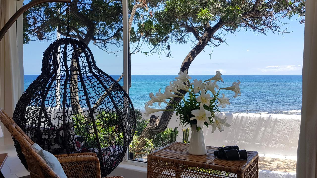 Loro Verde Playa Honda  Εξωτερικό φωτογραφία
